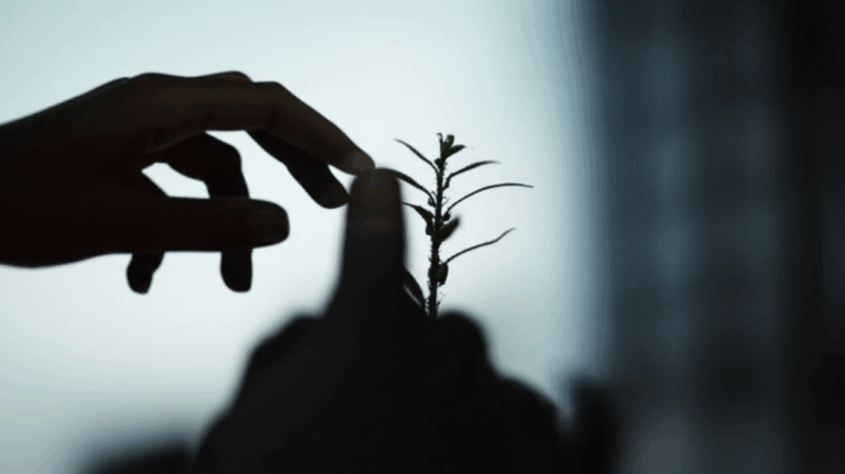 디지털 성범죄 지원 센터 완벽 가이드: 피해자 지원부터 예방까지